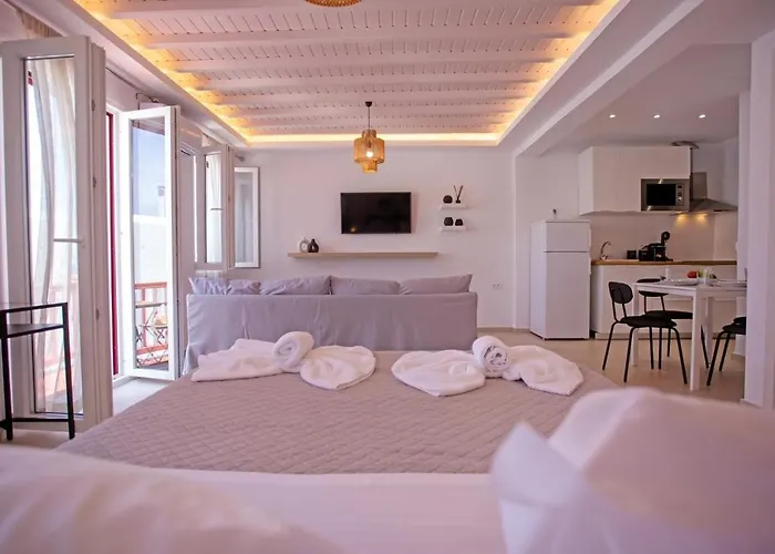 The Lavish Apartment